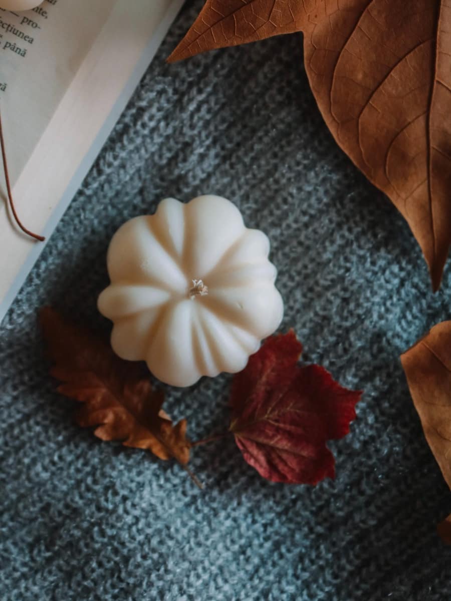 Pumpkin - imagine 7